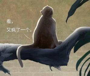 被关进了精神病院，如何证明自己是正常人？