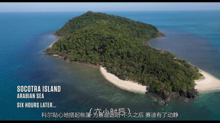 《神出鬼没》2023最新动作大片《神出鬼没》，美队与邦女郎联手拯救世界，高燃