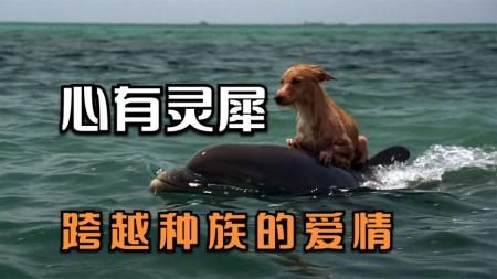 剧情《吉雅丝和罗克珊》电影解说文案