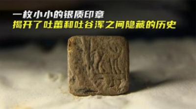 一枚小小的印章，惊现骆驼和藏文，揭开了一段不为人知的历史