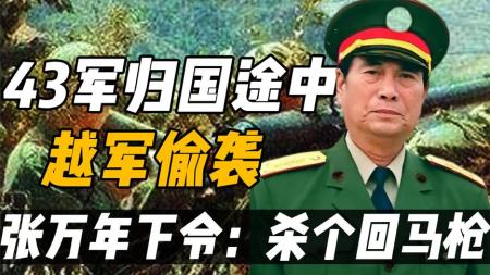 《高山下的花环》《越战胜利后，43军归途中遇越军追袭，张万年连开三枪》杀个回马枪