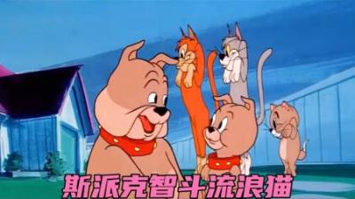 斯派克唯一一次智商在线的一集，斯派克智斗流浪猫兄弟！