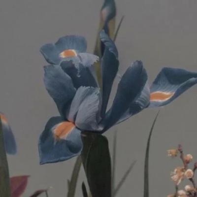 【励志】vlog日常励志学习（vlog日常生活高中学习）