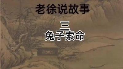 【民间恐怖故事】兔子索命[附音频]