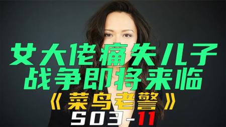 《菜鸟老警S03-11》女大佬为给儿子复仇，竟发动战争《菜鸟老警S03-11》