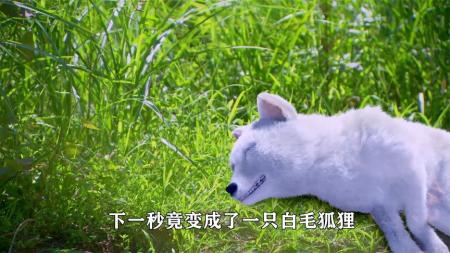 天天有喜参考文案 是一部非常重情、重义的电视剧整剧剧评-电视剧解说参考文案