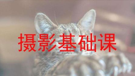 【课程】小醒摄影课堂（8课）