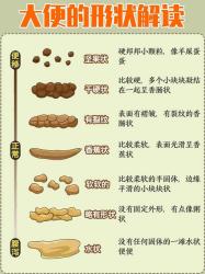 为什么明明拉得很稀屁屁却更受罪？