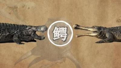 史前巨鳄到底有多大！沧龙又算不算鳄类？