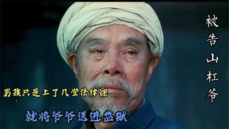 《被告山杠爷》剧情片：孙子上了几节课，显摆懂法律，把村支书爷爷送进了监狱！