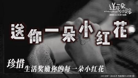 [视]贺岁佳片安利，我给易烊千玺、岳云鹏打九分，《送你一朵小红花》