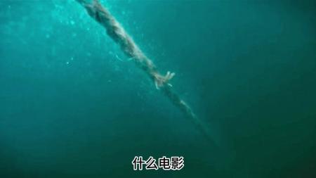 《走私》一口气看完，赵寅成最新电影《走私》完整版