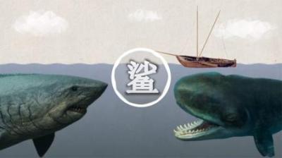 巨齿鲨到底多大？一颗牙齿化石居然约有21厘米！