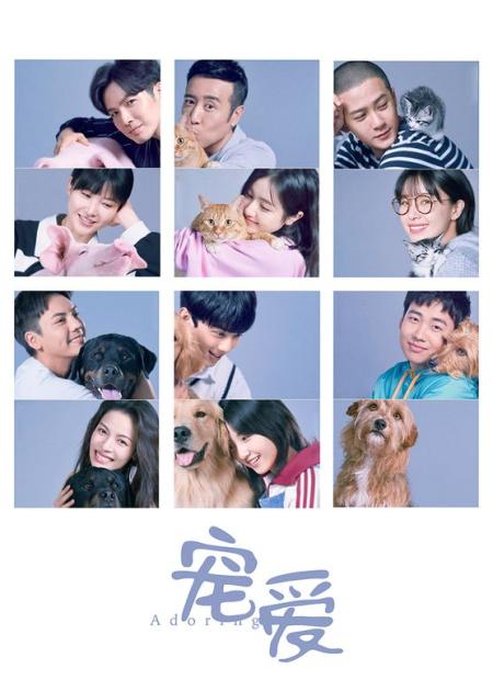 喜剧爱情《宠爱》电影解说文案