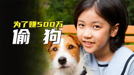 家庭《偷狗的完美计划》电影解说文案