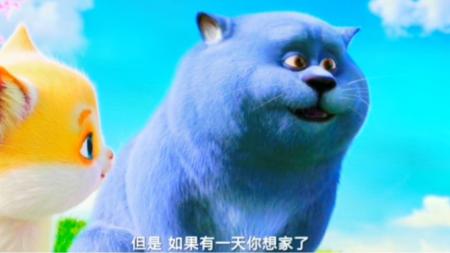 《猫与桃花源》解说文案一部让你大剂量吸猫的电影——《猫与桃花源》