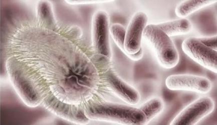 你以为很卫生，但实际却很脏的生活行为！