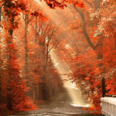 【经典】用饿组夸张的修辞手法的句子（饿怎么用夸张的手法仿句子）