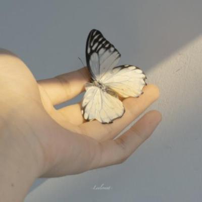 【励志】vlog服装文案（春节旅行VLOG文案）