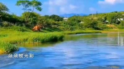 【民间恐怖故事】生命的颜色[附音频]