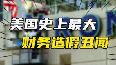 [视]一场骗局重创美国，差点让华尔街破产，史上最大的财务造假丑闻