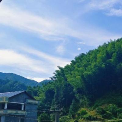 【唯美】自己生日送花的简短句子（生日送花简短情话八个字）