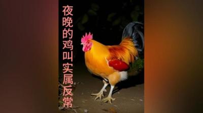 【民间恐怖故事】诡异的鸡叫[附音频]