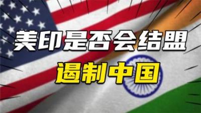 [视]印度会与美国结盟然后共同遏制中国？美学者与印高官回答相差甚远