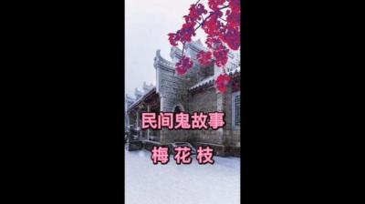 【民间恐怖故事】梅花枝[附音频]