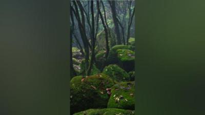 【民间恐怖故事】后峡鬼事[附音频]