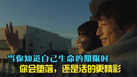 [文]《余命十年》余命10年年度催泪大片，假如人生只剩下10年，爱情会是最后的救赎吗？