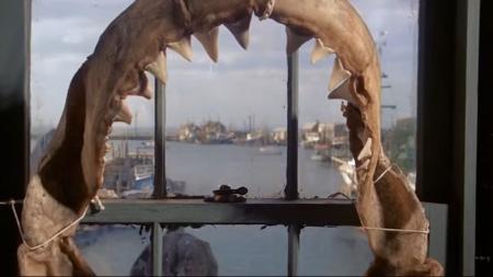 [文]《大白鲨》：《大白鲨》：杰森斯坦森动作猛片！深海肉搏巨兽，灭绝200万年的巨齿鲨被撕！-拳拳到肉，速度与激情的碰撞，那些年不容错过的动作大片！