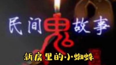【民间恐怖故事】新房里的小蜘蛛[附音频]