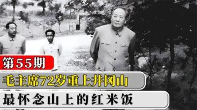 [视]1965年毛主席重上井冈山，感慨万千诗兴大发，最怀念山上的红米饭
