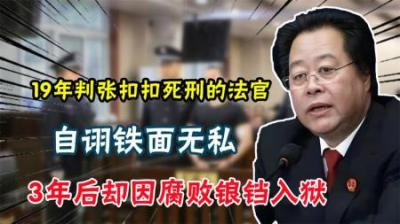 [视]2019年张扣扣案主审官落马!因腐败锒铛入狱，如今引得众人嘲笑