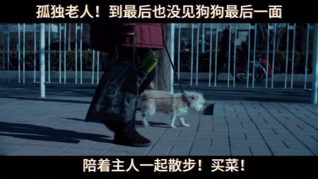 [文]《大雪冬至》解说文案电影《大雪冬至》即将于1月21日点映，养老问题引关注