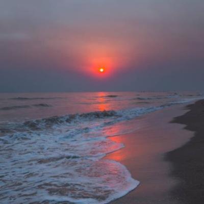 【感悟】关于学习的感悟图片