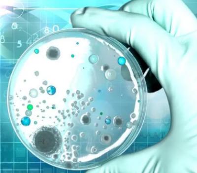 科学探索的巅峰之作：令人震惊的实验