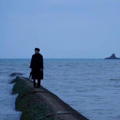 【感悟】读雪落在中国的土地上的感悟（雪落在中国的土地上赏析和感悟）