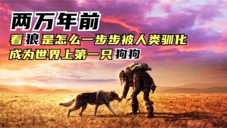 [文]《阿尔法：狼伴归途》解说文案画面美故事弱——《阿尔法：狼伴归途》