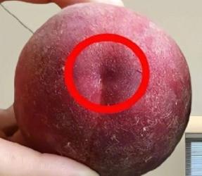 这5种水果，挑选可是有小窍门的哦！