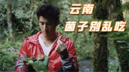 [文]《北回归线》解说文案《北回归线》之李治廷：做一枚逗比的美男子