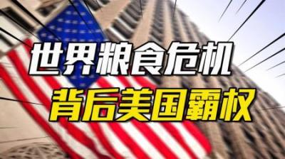 [视]世界粮食危机，美国如何通过粮食控制全世界？粮食背后的美国霸权