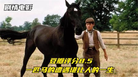 [文]9分钟看完剧情电影《黑骏马》8.5高分电影，一匹黑马从出生到死亡，一辈子经历和人一模一样