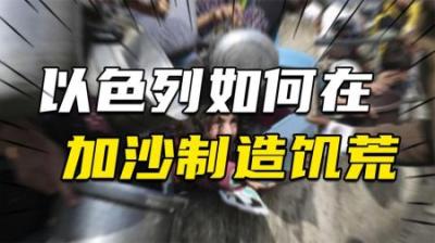[视]以草为食，难民饿死，加沙大饥荒，以色列枪杀饥民破坏停火！
