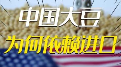 [视]84%来自国外？作为“战略物资”，中国的大豆为何严重依赖国外？