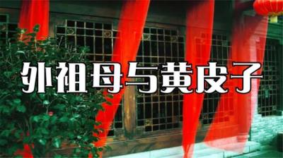【民间恐怖故事】外祖母与黄皮子[附音频]