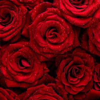 【伤感】貂蝉的无敌时刻的伤感文案（貂蝉素材文案短句干净）