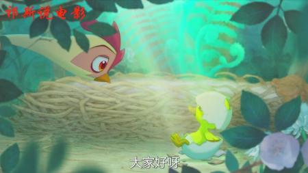 [视]一只母鸡却给鸭孵出蛋，跨越种族的母爱，感人动画《鸡妈鸭仔》！