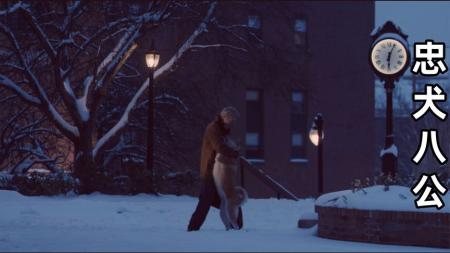 [视]一部由日本的真实事件改编的感人电影【解说】《忠犬八公》